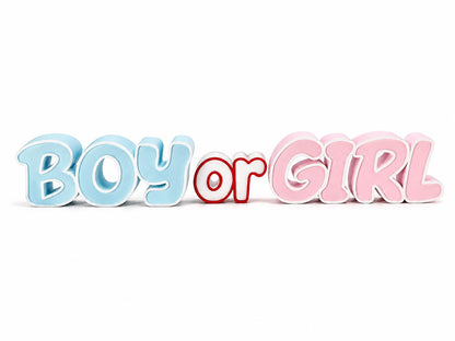 BOY or GIRL Gender Reveal Decoration – Baby Shower Decor