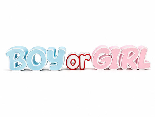 BOY or GIRL Gender Reveal Decoration – Baby Shower Decor