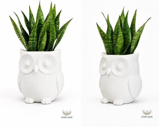 Owl Indoor Plant Pot